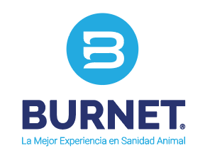 Burnet
