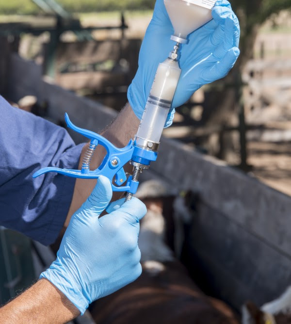 Reconocimiento al SENASA por su labor en el control de las vacunas antiaftosa durante la pandemia